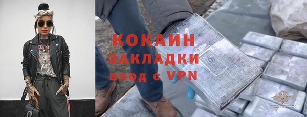 шишки Елизово