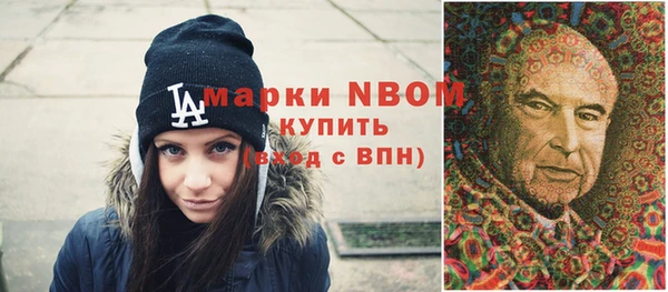 шишки Елизово